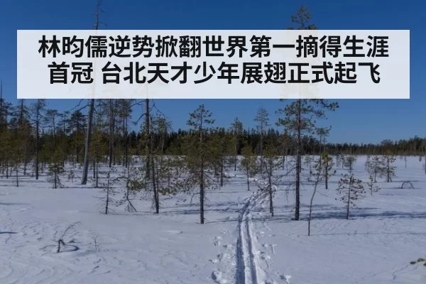 林昀儒逆势掀翻世界第一摘得生涯首冠 台北天才少年展翅正式起飞